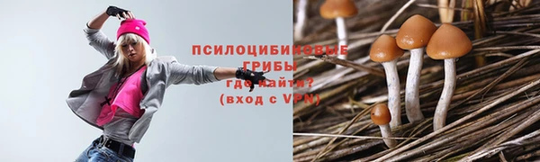 мяу мяу мука Арсеньев